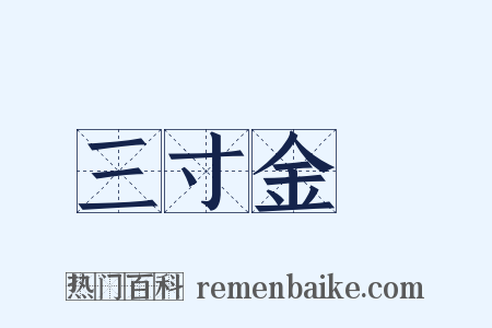 三寸金蓮是什么意思的图片